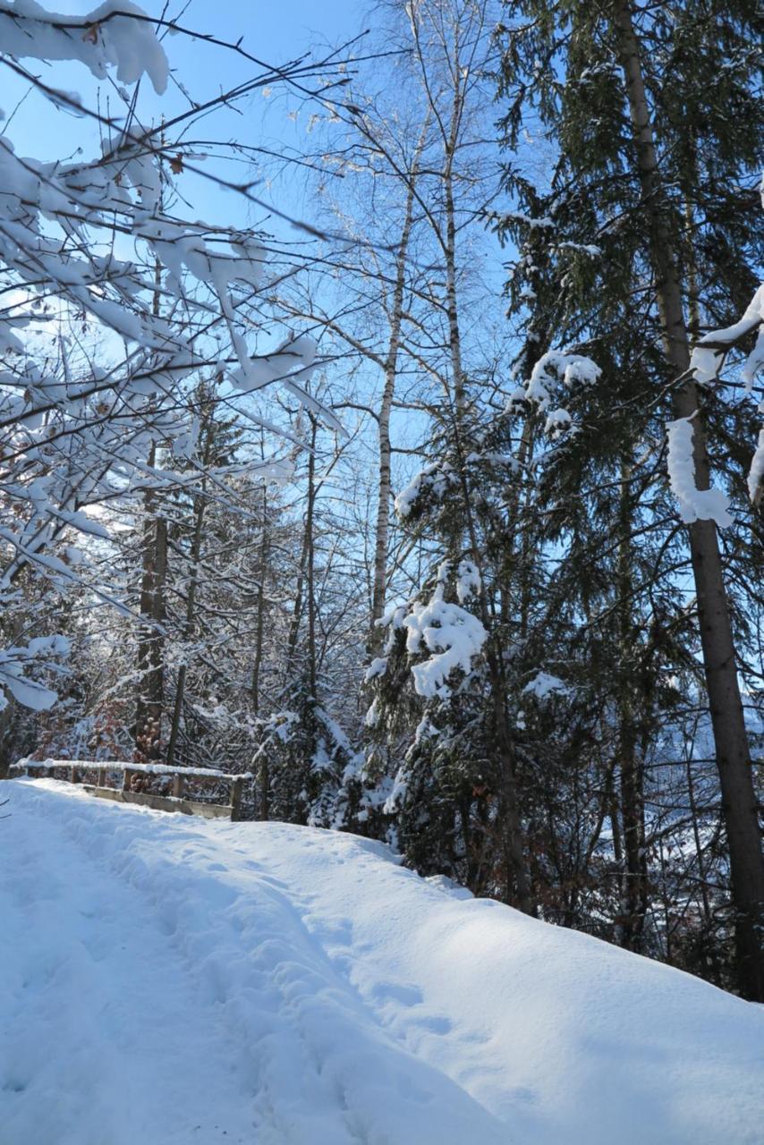 Haus Enzian Apartment Sankt Johann im Pongau Bagian luar foto