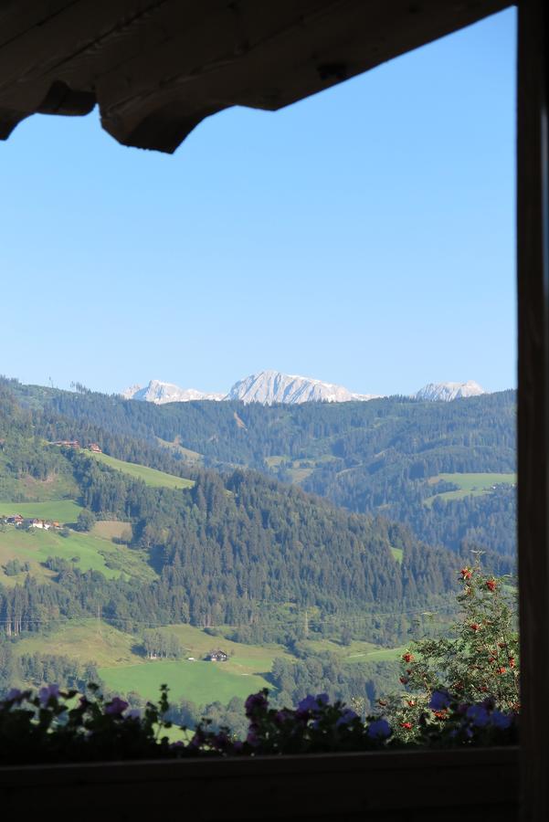 Haus Enzian Apartment Sankt Johann im Pongau Bagian luar foto