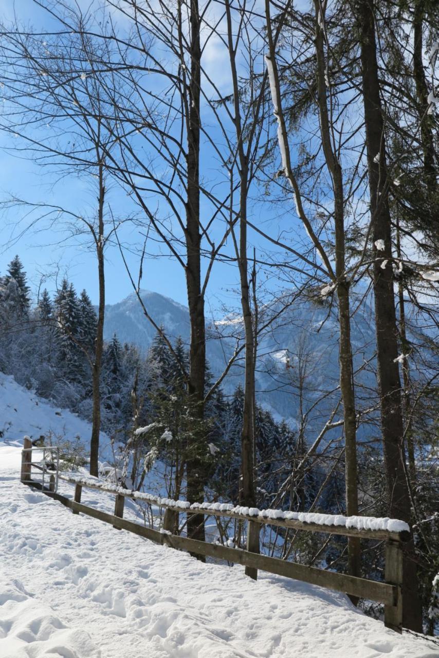 Haus Enzian Apartment Sankt Johann im Pongau Bagian luar foto